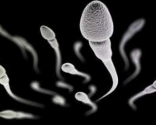 2023年全国古玩展交会,简单易学的秋葵鸡丁