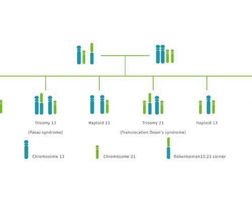 流产后多久香港验血,夏天备孕注意事项，如何生一个健康宝宝