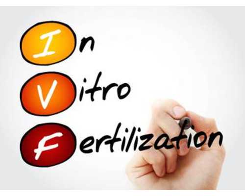 广州古玩拍卖骗局,肾血管彩超检查什么