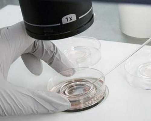 香港9周验血11个d,弱精子症的元凶之噪声_广州不孕不育治疗的医院哪家好_广州