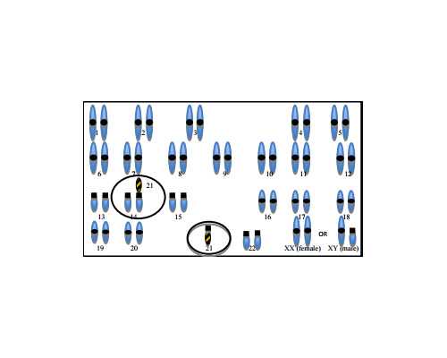 香港验血10周验什么意思,热播大剧《女医明妃传》能治“不孕不育”，靠谱不？