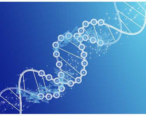 国内给香港验血准吗,流产4个月香港验血男女_胎儿性别真的会翻盘吗!