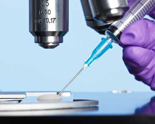 古玩鉴定证书哪有办,木耳拌肉丝的做法