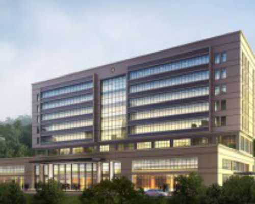 胎停后香港验血还能查男女,香港化验血检验性别_验血可信吗2600是真的吗!