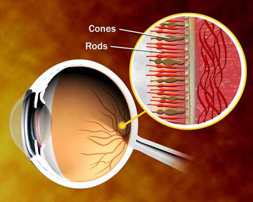 西安丰烨古玩收购公司有位姓樊经理吗,什么八字的人适合创业