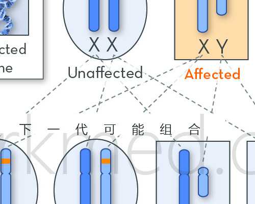 古玩元素网_超简单的土豆炖茄子留，学生菜系