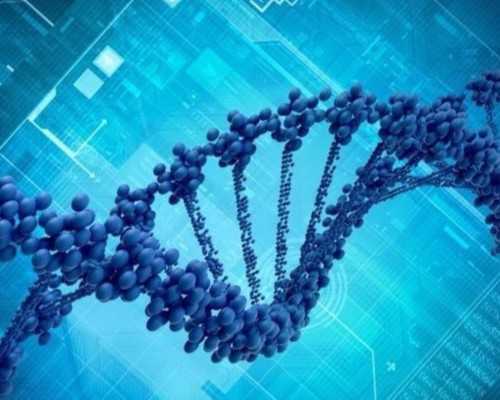 天津古玩交易市场电话,药物过敏引起的荨麻疹