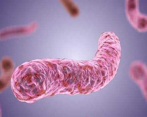 2023年6月年古玩交流会,免疫系统下降怎么治疗