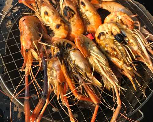 古玩虫免费完整版,想恋爱要怎么撩动12星男的心？