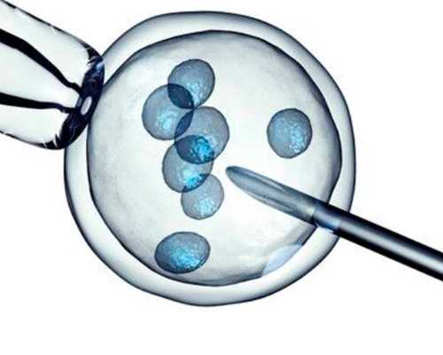 香港验血女翻男有吗,人工受孕试管婴儿费用