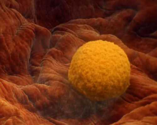 9周了还能香港验血吗,剖腹产后来月经早好还是晚好 经期恢复后一定要做好避孕