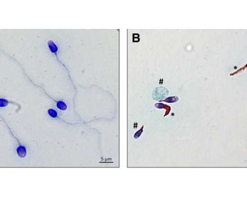西安私人老板收购古玩,值得你珍惜一辈子的星座
