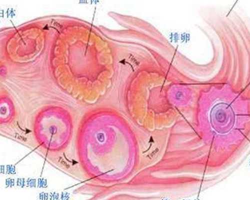 香港dna验血对所有人都准确吗,如何在香港申请验血测男女_查男女你所不知道的