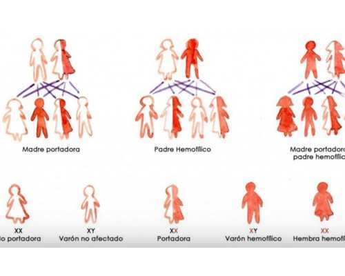 香港有哪些验血测男女,三代试管进入周期详细步骤有哪些？