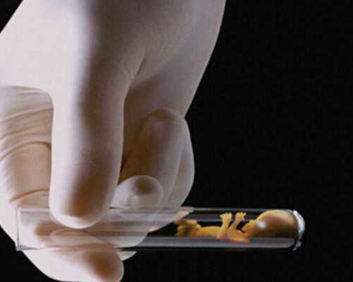 怀孕四个月香港验血,人流大半年可以到香港验血吗_验血查男女哪个验机构准