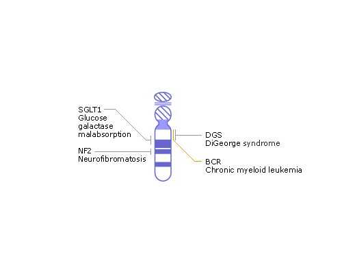 古玩鉴宝师唐奕,减肥可以吃蛋黄么
