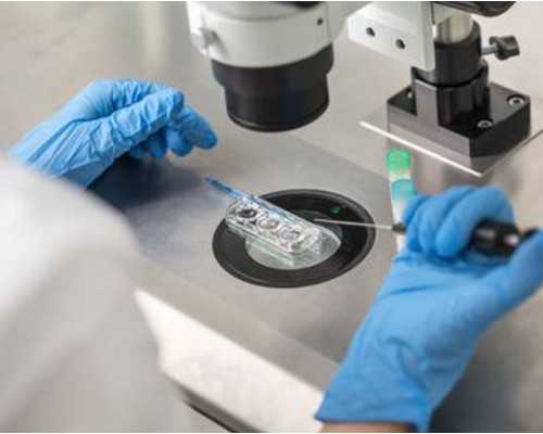 香港正规的验血机构,哪些人适合试管短方案促排卵，适合自己的才是最好