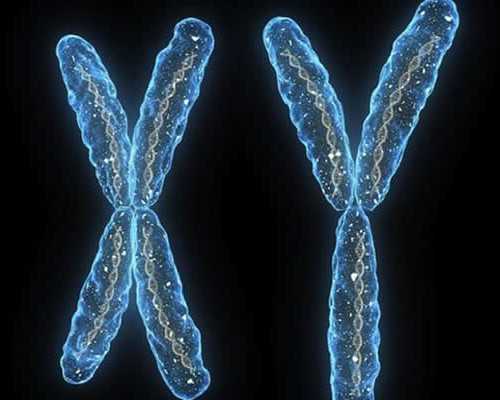 香港验血鉴定男女在哪抽血,科学生男生女 备孕期很重要