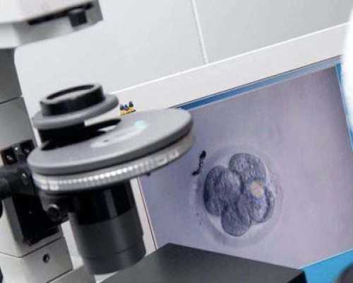 广州古玩展销会在哪里,瘦肚子和腰上赘肉的减肥操都有哪些呢？