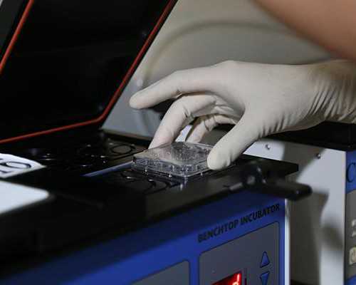 杭州中介香港验血,中山六院生殖中心试管咨询