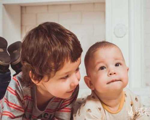 古玩行业未来前景,是不是蠢，撩妹总是找不到点的星座男