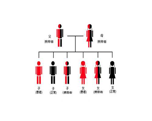 香港验血运输时间长_“呼仑贝尔大草原”有什么特色？最好玩的时候在那个季