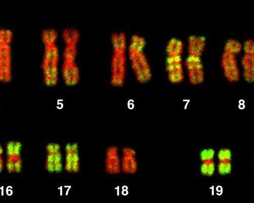 孕囊9mm 香港可以验血了吗,卵巢早衰闭经还能否做试管婴儿要个孩子