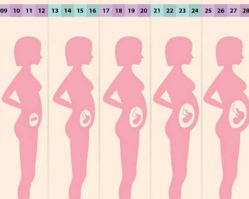 怀孕两个星期香港验血能验出来吗,弱精吃什么助孕