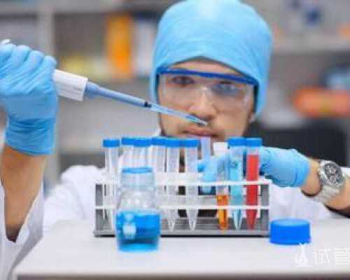 香港验血鉴别性别准吗_到香港验血男女_分享我的亲身经历