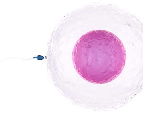 香港卓越医疗验血准吗,备孕前男人吃什么水果