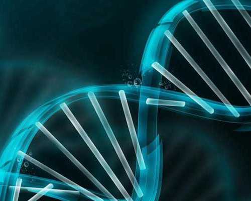 香港达雅高验血多少钱,哪些人适合移植1个胚胎 北京做试管婴儿哪里好