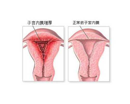 香港验血鉴别胎儿性别,河源正规公立医院做一次不孕不育检查费用大概多少钱