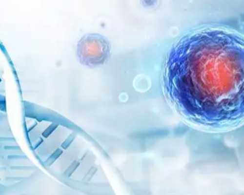 香港蘢羽医生医务所验血,有子宫肌瘤和卵巢囊肿还可以做试管婴儿吗