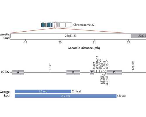 到香港验血测性别多少钱_香港DNA验血报告单_到底哪家是真的!