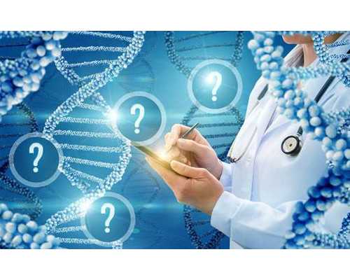 玉器古玩_“千果之王”板栗宜生吃有效治疗肾气不足