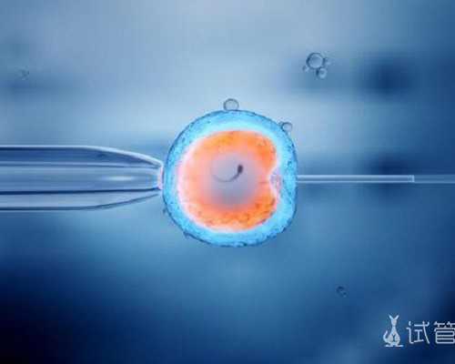 在香港验血知男女准吗_香港7周内验血测男女准吗,宝妈亲身告诉你