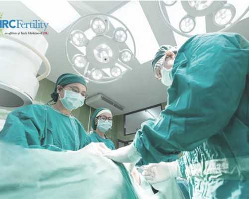 寄血到香港验血可靠吗,6周香港验血准吗_查性别详细流程是什么!