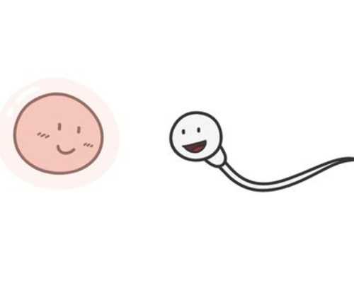 福建福州上门收购古玩古董紫砂壶,农历五月二十八是什么星座