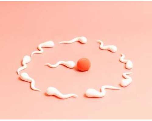 南阳古玩玉器批发大市场在哪里?_巧吃宵夜让你不再发胖