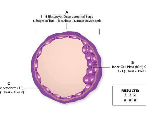 香港验血价格都不一样,香港脸验血不准原因_验血详细流程,看完你还做吗!