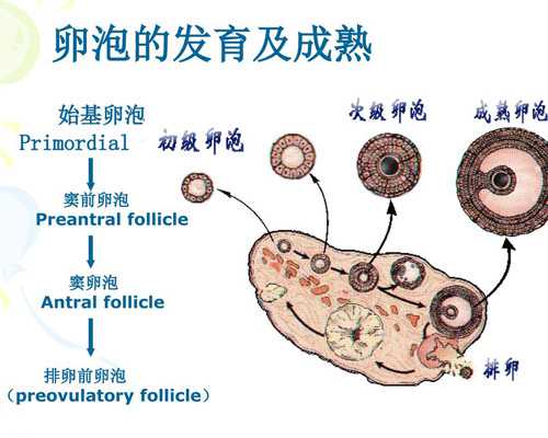 女主古玩鉴宝类小说,折磨金牛座最好的方法