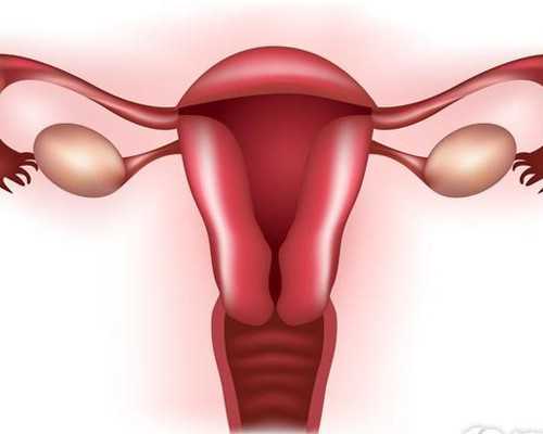 古玩批发市场在哪里,夏季小心宝宝吃奶粉“上火”