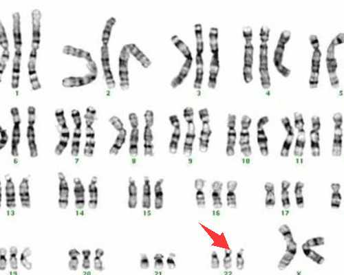 香港验血准的医疗机构_香港验血检测男女怎么收费准不准_亲身经验给大家