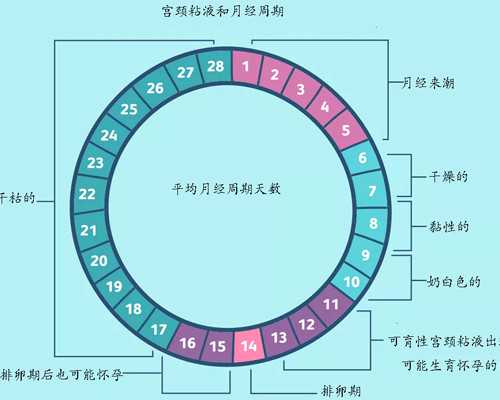 古玩虫电视剧全集5在线,自助减肥法七步拥有完美身材