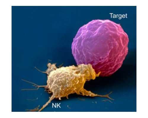古玩钱币图片,适合女性的22种减肥运动