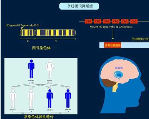 香港验血测男女费用多少钱,经期外阴瘙痒用什么类型卫生巾