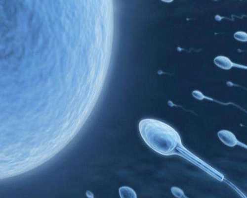 香港验血官网查询验真假靠谱吗,做试管婴儿需要提前备孕吗？