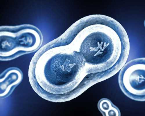 双胞胎 香港验血 六周,怀孕两个月香港查男女_抽血查性别是真还是假!