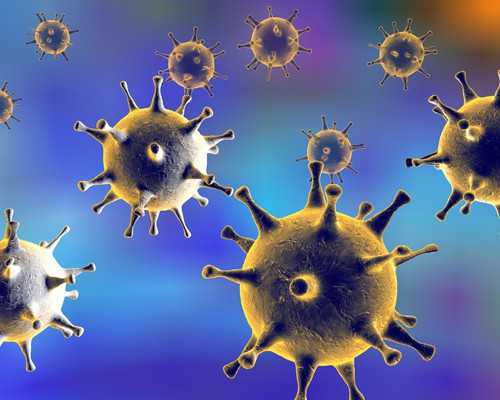 胎芽7mm香港验血测胎儿性别准吗,香港哪里可以查性别_采血鉴定性别需要什么流