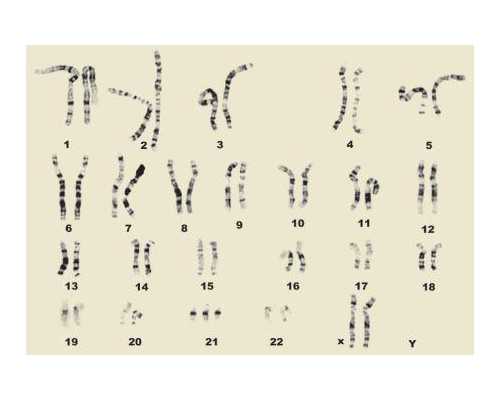 香港验血有假的中介吗,香港双胎男孩验血准不准_验血最权威的机构是哪家